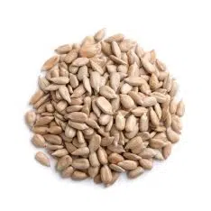 sun flower seeds